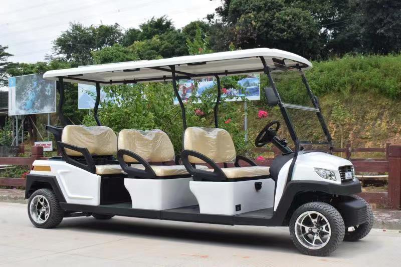 6座電動(dòng)高爾夫車(chē)M1S6